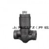 自密封鍛鋼止回閥，上海開茲閥門