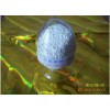 供應丙烯磺酸鈉SAS 2495-39-8 專業(yè) 高品質(zhì)