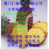 菠蘿蛋白酶，福建菠蘿蛋白酶生產商，廈門哪里有菠蘿蛋白酶