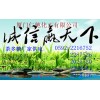 茶多糖，福建茶多糖生產商，廈門哪里有茶多糖食品級
