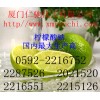 檸檬酸鈉，福建哪里有檸檬酸鈉價格，廈門檸檬酸鈉生產商