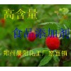 蛋白酶，蛋白酶應(yīng)用范圍
