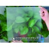 無(wú)手印玻璃蒙砂粉（用途廣泛）