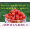 三氯蔗糖國(guó)內(nèi)執(zhí)行標(biāo)準(zhǔn)