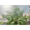 家電玻璃--星虹玻璃--溫潤觸感，潔凈如新