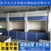 安慶市 化驗室通風櫥生產廠家，池州市通風柜材質說明
