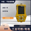手持式甲醇?xì)怏w檢測儀